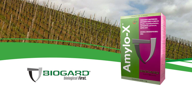Biogard - Amylo-X®WG: Il fungicida microbiologico ad ampio spettro di azione